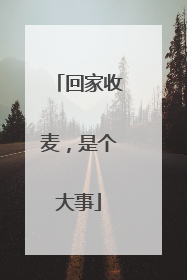 回家收麦，是个大事